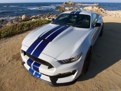 ford mustang shelby gt350 pic #149169