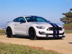ford mustang shelby gt350 pic #149170