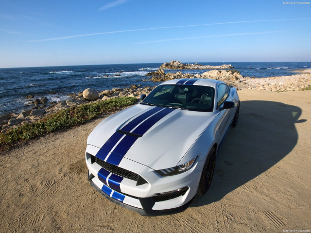 ford mustang shelby gt350 pic #149173