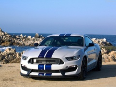 ford mustang shelby gt350 pic #149174