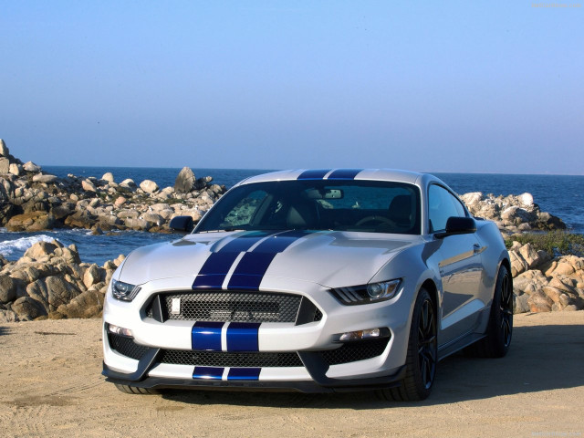 ford mustang shelby gt350 pic #149174