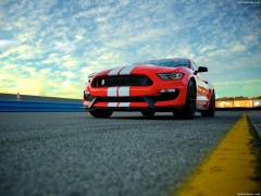 ford mustang shelby gt350 pic #149179