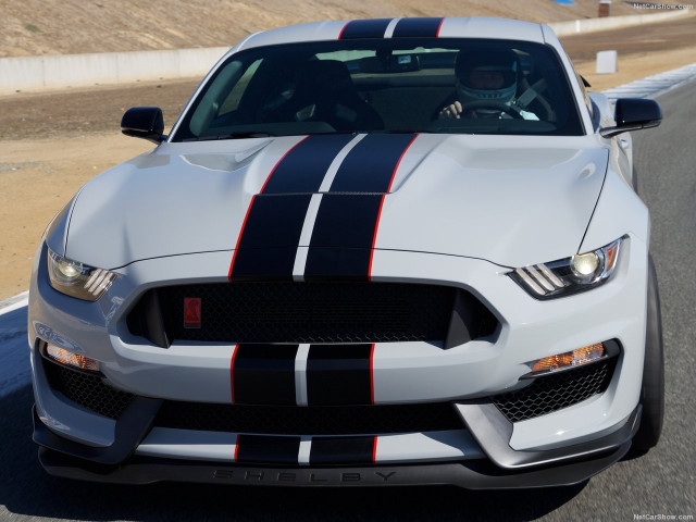 ford mustang shelby gt350r pic #149183