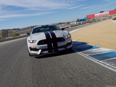 Mustang Shelby GT350R photo #149184