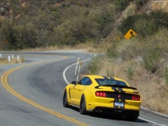 ford mustang shelby gt350r pic #149188