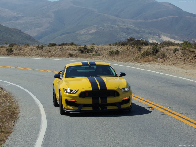 ford mustang shelby gt350r pic #149192