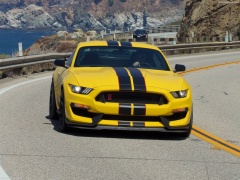 ford mustang shelby gt350r pic #149193
