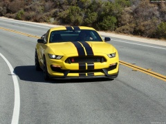 ford mustang shelby gt350r pic #149194
