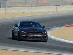 ford mustang shelby gt350r pic #149200