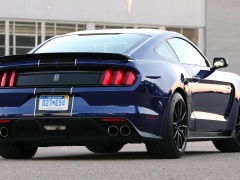 ford mustang shelby gt350 pic #166244