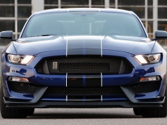 Mustang Shelby GT350 photo #166254