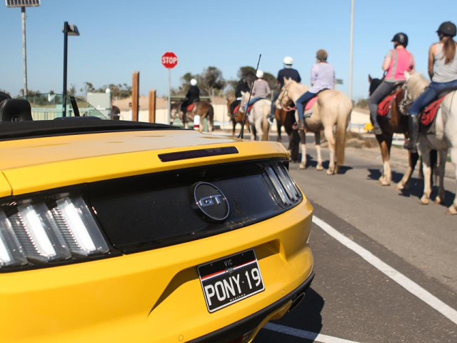 ford mustang gt convertible pic #166390