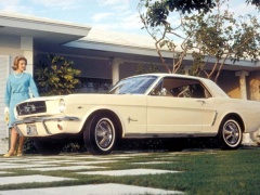 Mustang photo #17791