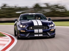 Mustang Shelby GT350 photo #188966