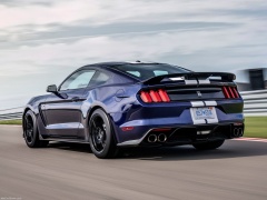 ford mustang shelby gt350 pic #188968
