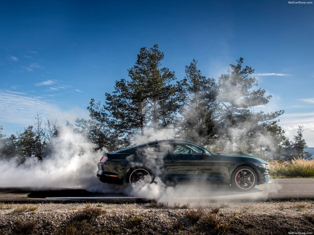 ford mustang bullitt pic #191243