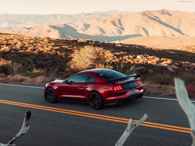 ford mustang shelby gt500 pic #192979