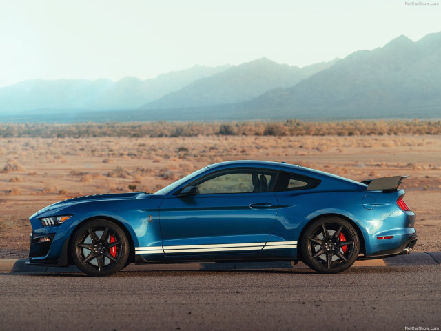 ford mustang shelby gt500 pic #192981