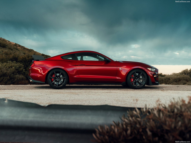 ford mustang shelby gt500 pic #192982