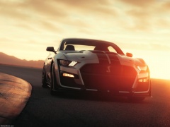 Mustang Shelby GT500 photo #192984