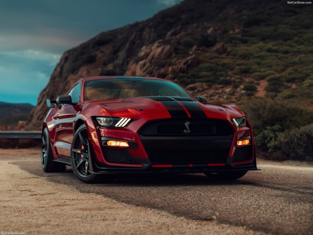 ford mustang shelby gt500 pic #192988