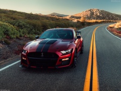 ford mustang shelby gt500 pic #192989