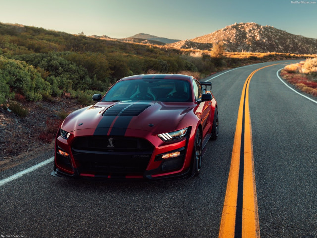 ford mustang shelby gt500 pic #192989