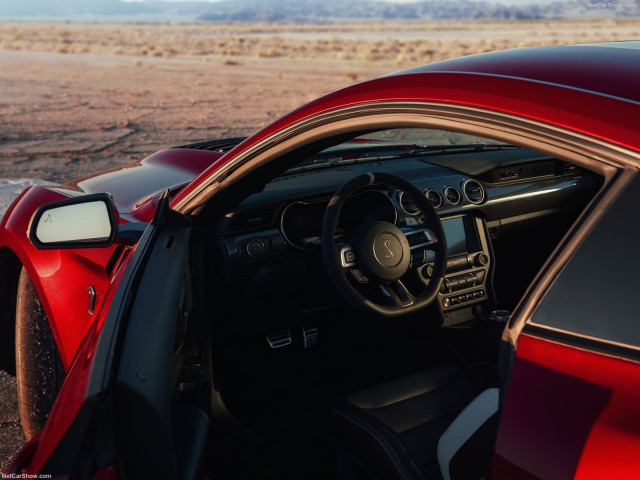 ford mustang shelby gt500 pic #192994