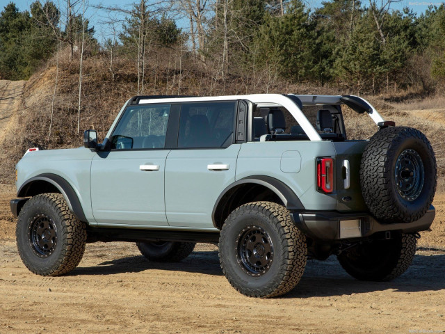 ford bronco pic #197523