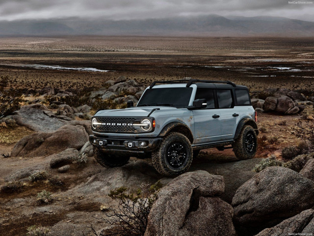 ford bronco pic #197526