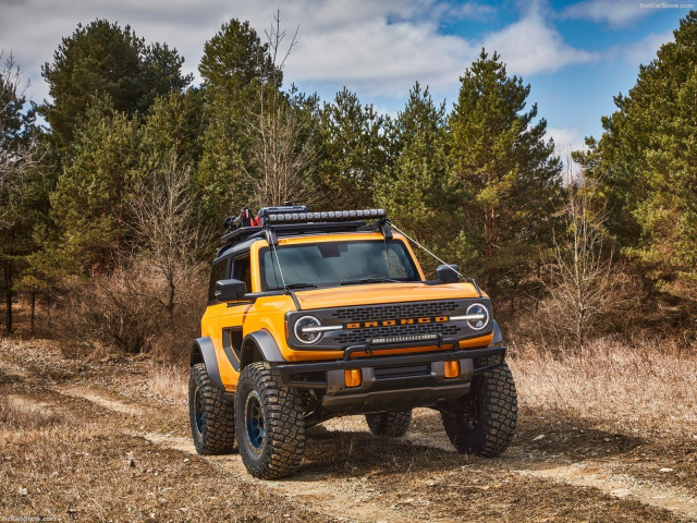 ford bronco pic #197536