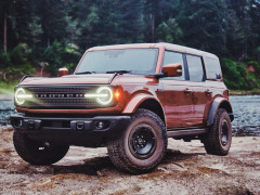 Bronco photo #208301
