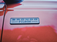 Bronco photo #208381