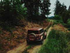 Bronco photo #208382