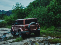Bronco photo #208384