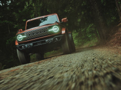 Bronco photo #208385