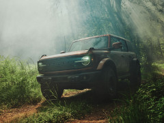Bronco photo #208387