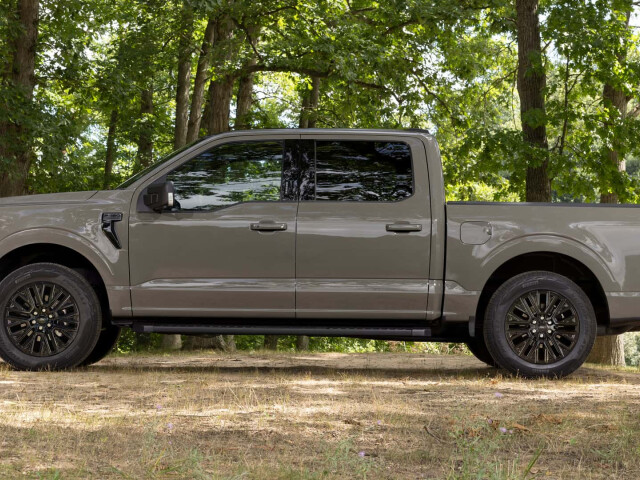 Ford F-150 XIV (14th gen) photo 210354