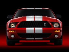 ford mustang shelby pic #30821