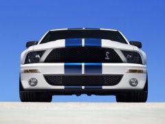ford mustang shelby pic #30822