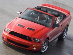ford mustang shelby pic #30831
