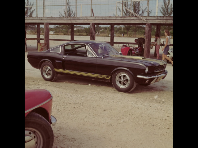 ford mustang shelby pic #33577