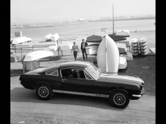 Mustang Shelby photo #33579