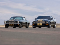 ford mustang shelby pic #33580