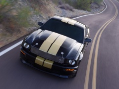 ford mustang shelby pic #33588