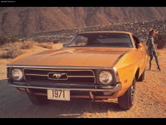 Mustang photo #43847