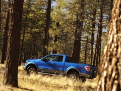 ford f-150 pic #51498
