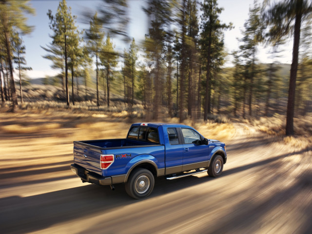 ford f-150 pic #51499