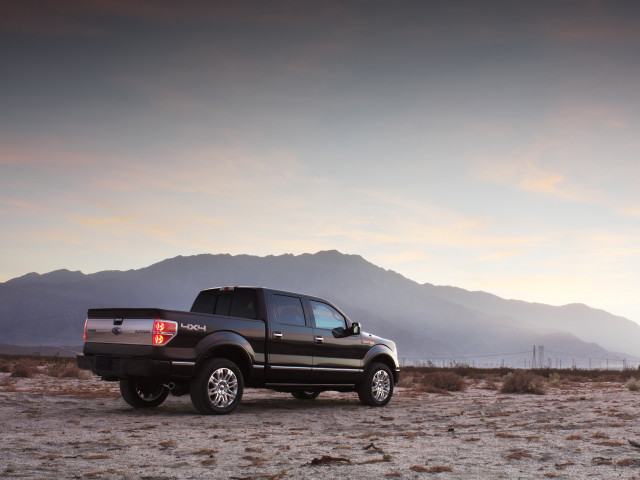 ford f-150 platinum pic #51536