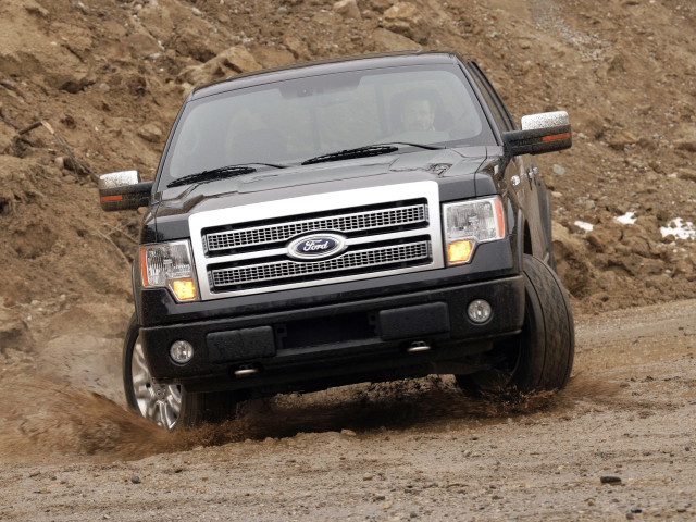 ford f-150 platinum pic #51538